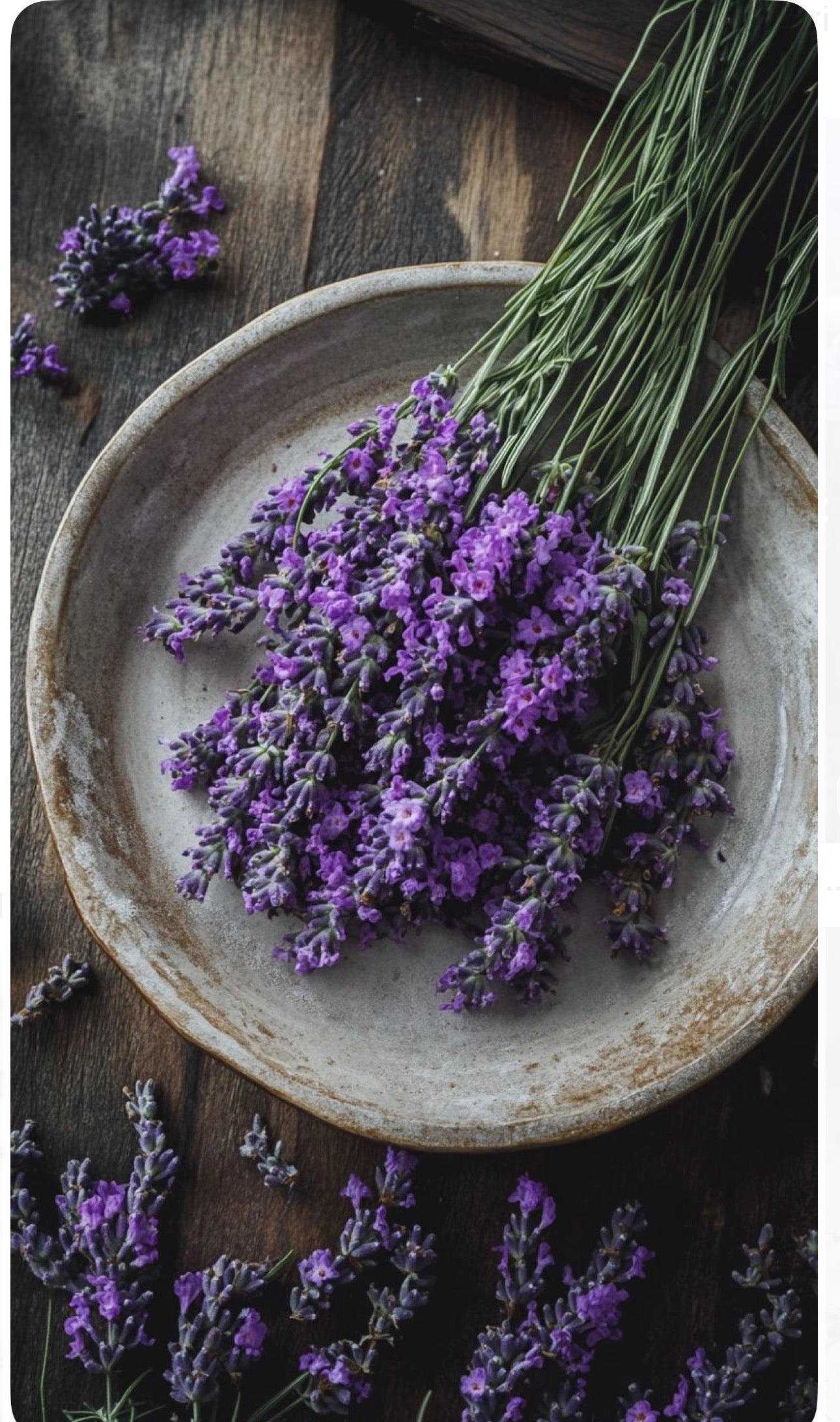 Sapone solido ai fiori di lavanda