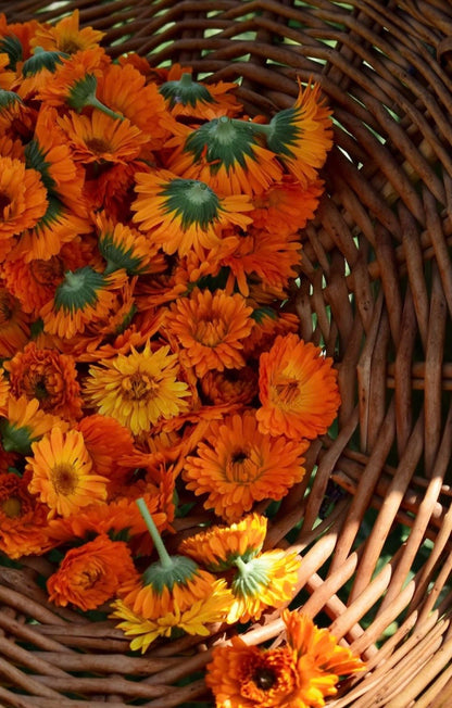 Sapone solido ai fiori di Calendula