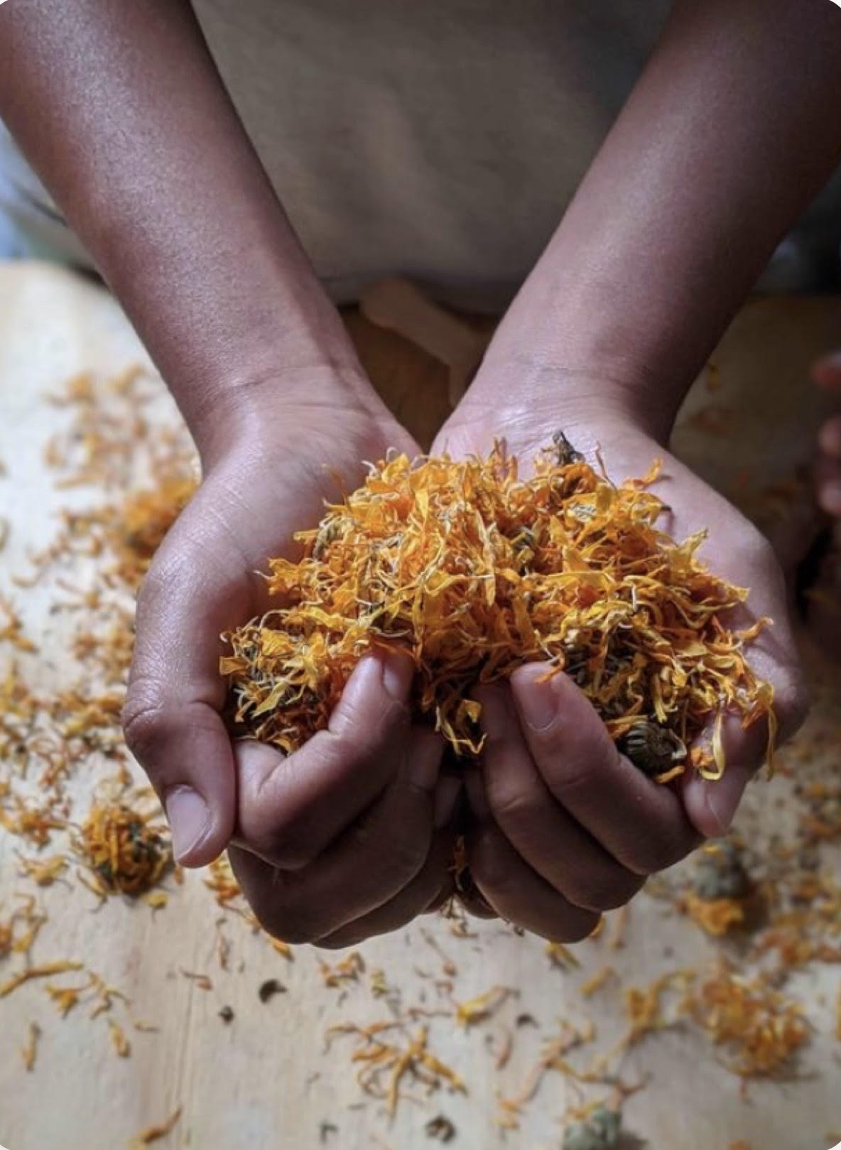 Sapone solido ai fiori di Calendula